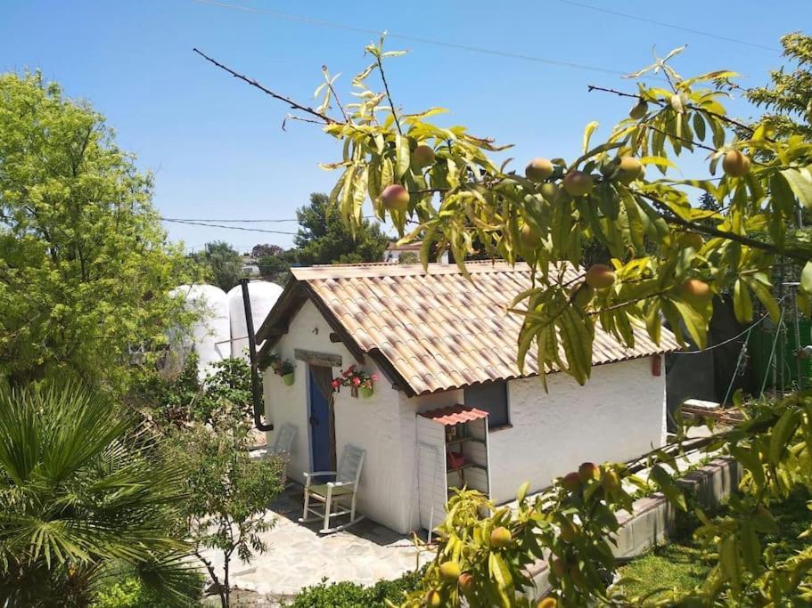 Vivienda Rural La Choza Villa Jerez de la Frontera Exterior foto